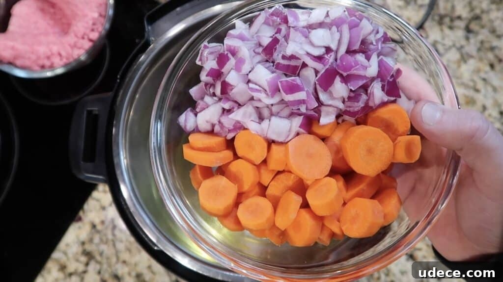 Instant Pot Deluxe Hamburger Stew Recipe in 30 Minutes 4 Sliced carrots and diced red onion