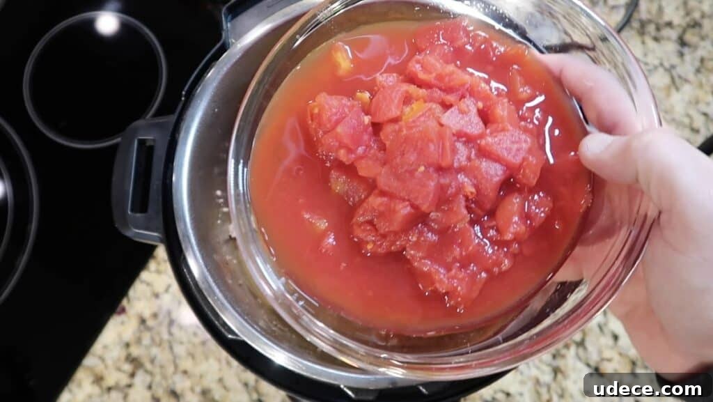 Instant Pot Deluxe Hamburger Stew Recipe in 30 Minutes 10 Adding diced tomatoes to pot