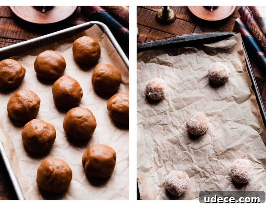 Cookie dough balls on a baking sheet, rolled in sugar.