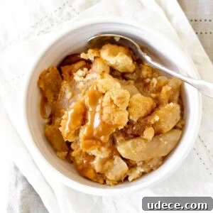 Caramel Apple Dump Cake Recipe — Quick Crowd-Pleasing Dessert 14 Top view of a white bowl with serving of apple dump cake, a spoon, white marble surface