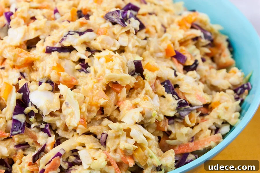 Fresh Summer Succotash Recipe with Corn, Beans & Peppers 8 Tangy Southern Mustard Coleslaw in a large blue bowl.