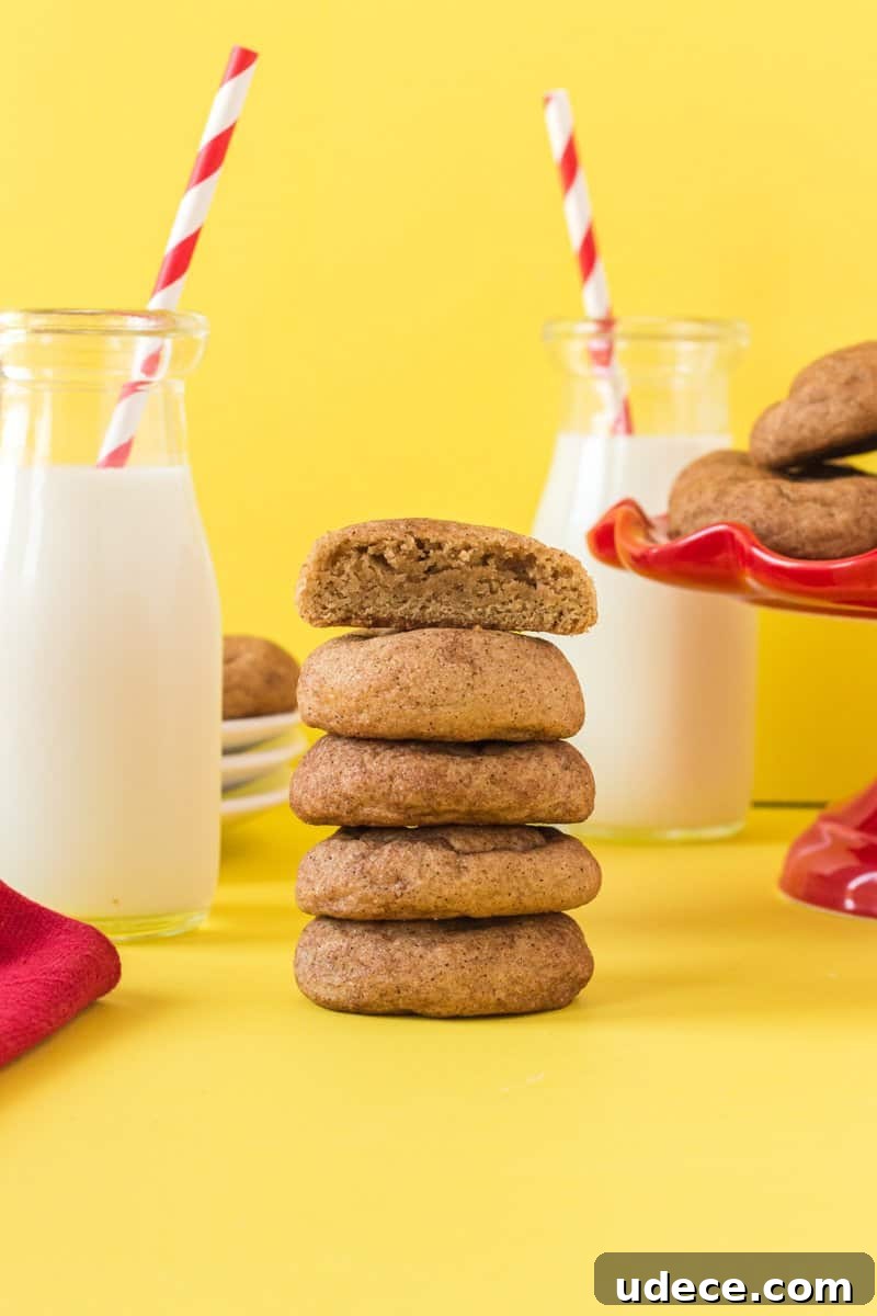 Festive Cinco de Mayo Cupcake Recipes and Decorating Ideas 13 Churro Cookies