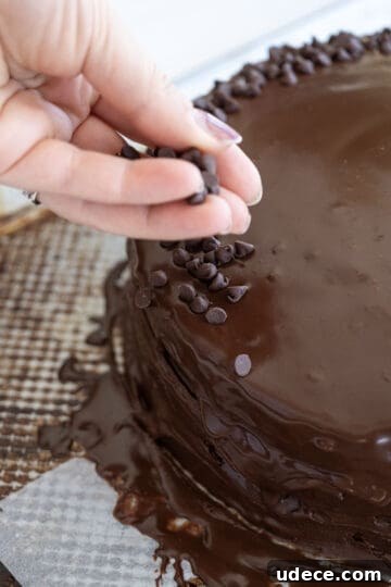 sprinkling with mini chocolate chips