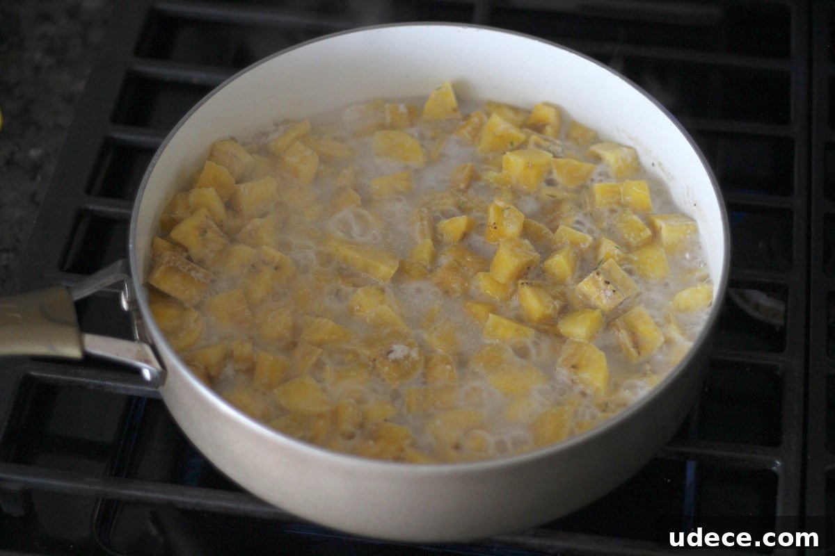 Paleo Plantain 