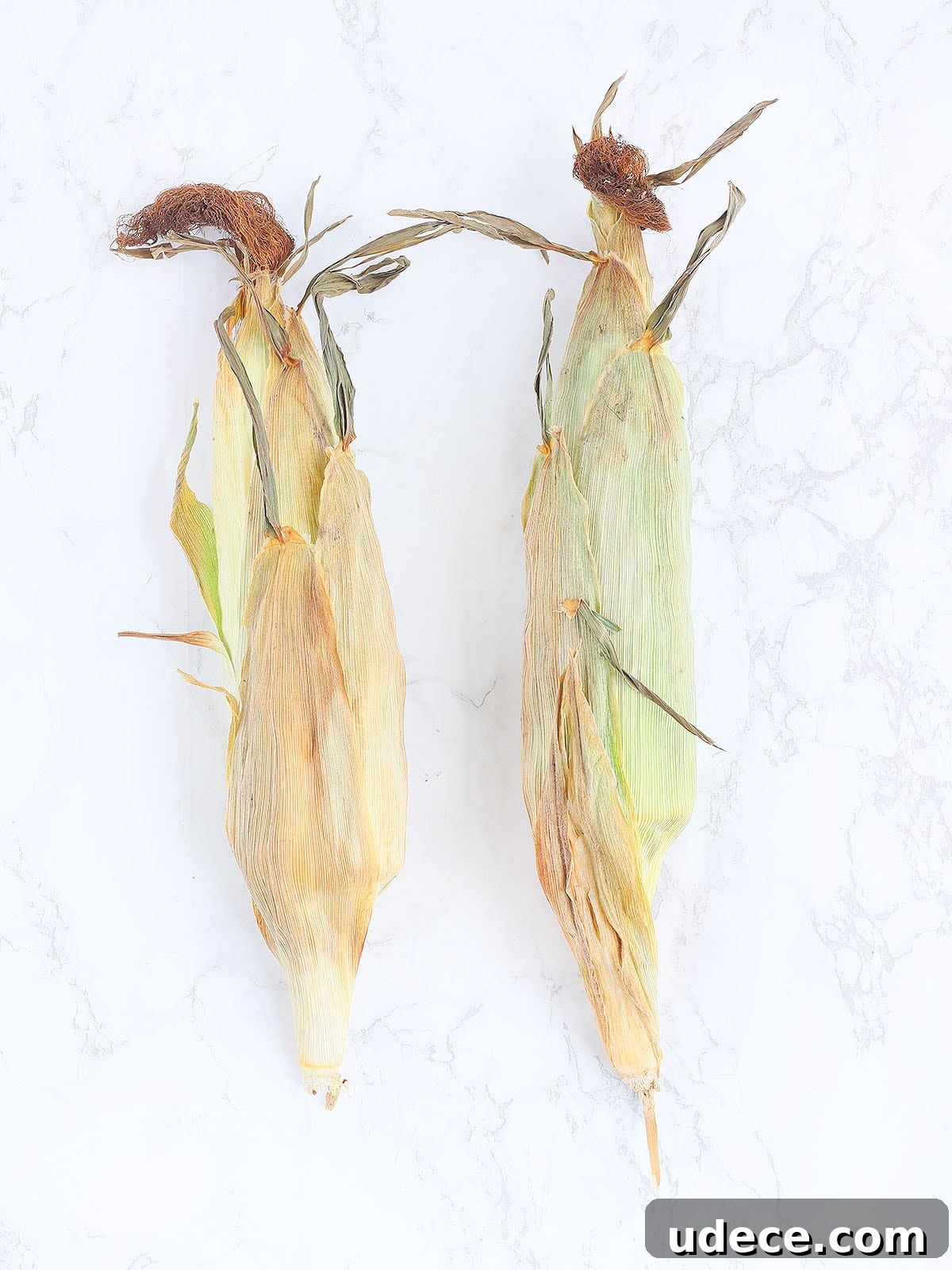 two ears of corn after they have been roasted in the oven