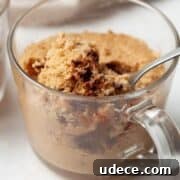 Protein Powder Mug Cake Recipe — Quick Single-Serve Dessert 13 vegan and healthy microwave protein powder mug cake recipe