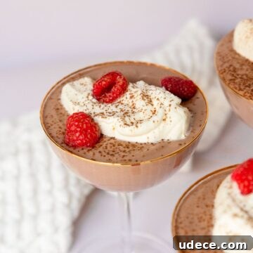Thick and creamy high protein cottage cheese chocolate mousse with fresh raspberries.