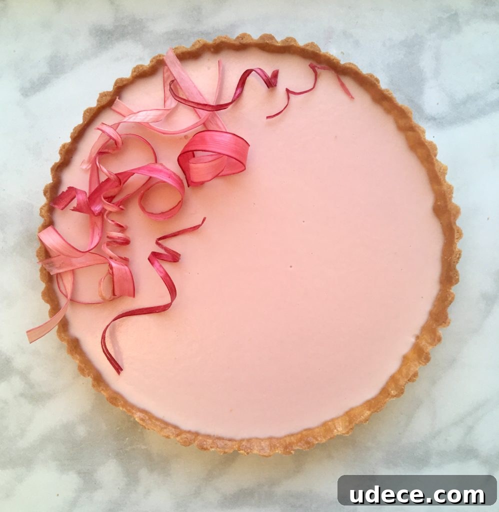 Rhubarb Panna Cotta Tart Recipe: Tangy Creamy Dessert 3 Rhubarb panna cotta tart