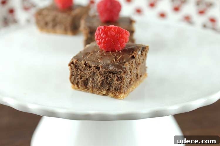 10 Desserts Made with Natural Sweeteners to Satisfy Cravings 11 No Bake Skinny Chocolate Cheesecakes