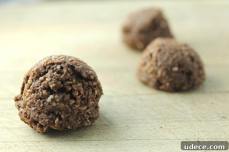 10 Desserts Made with Natural Sweeteners to Satisfy Cravings 6 No Bake Chocolate Coconut Macaroons