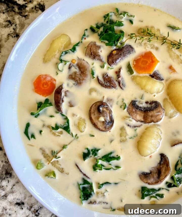 vegan gnocchi soup recipe