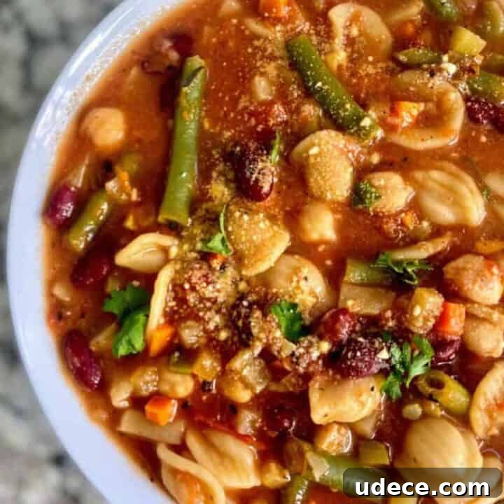 vegan minestrone soup recipe