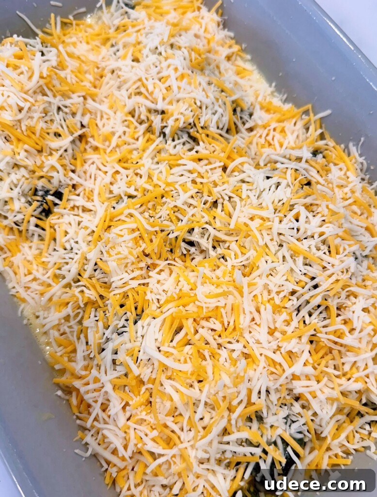 Chili Relleno Casserole Recipe: Cheesy Roasted Poblanos Bake 12 Peppers covered with batter and shredded cheese.