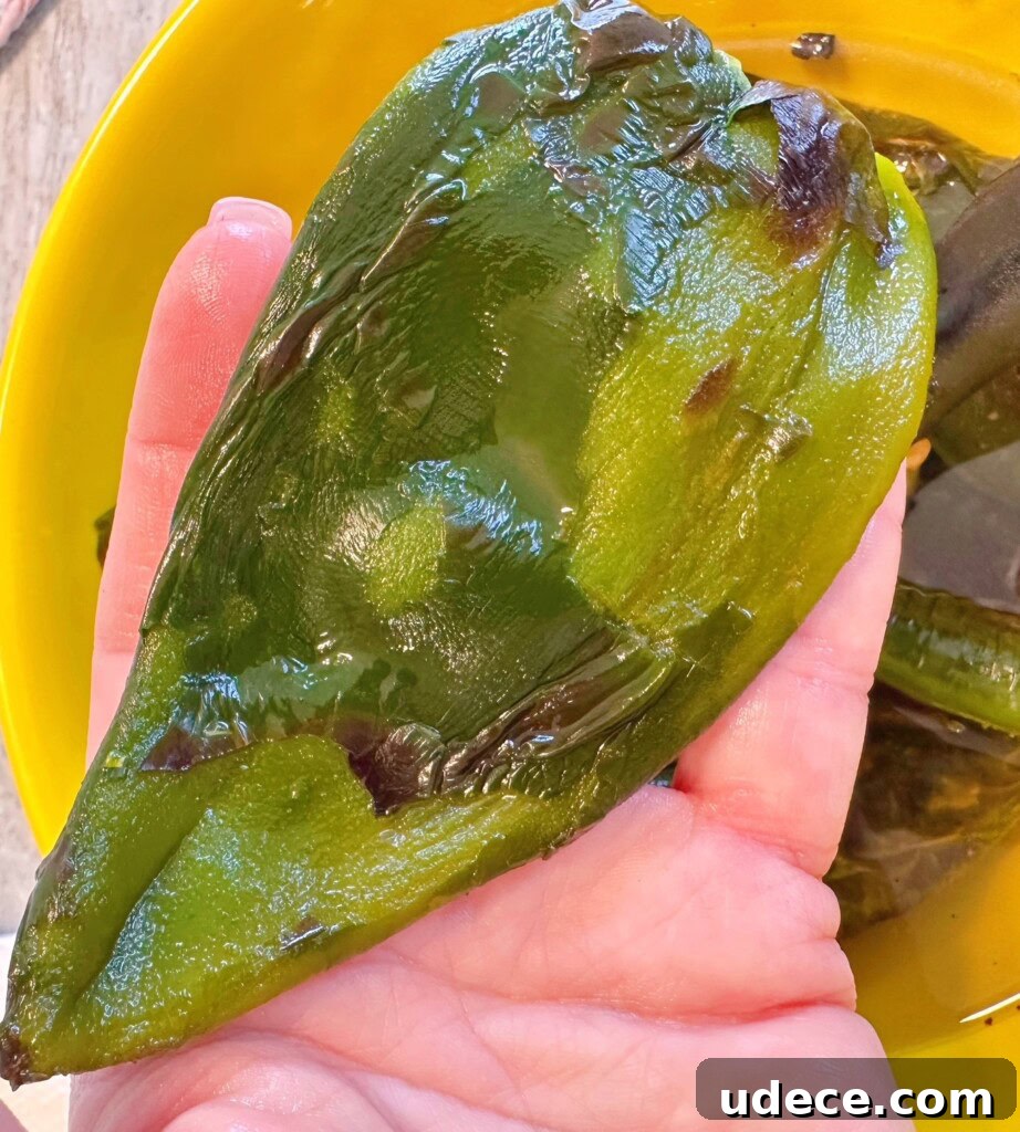 Chili Relleno Casserole Recipe: Cheesy Roasted Poblanos Bake 7 Poblano pepper peeled and being held in cooks hand.