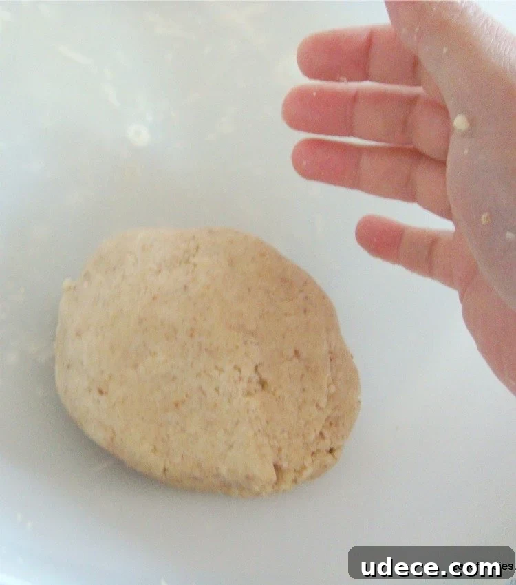 How To Make A Quick Basic Pie Crust How To Make A Quick Basic Pie Crust