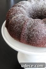 Ultimate Moist Chocolate Cake Recipe for Rich, Decadent Slices 5 Perfect Chocolate Chocolate Chip Bundt Cake