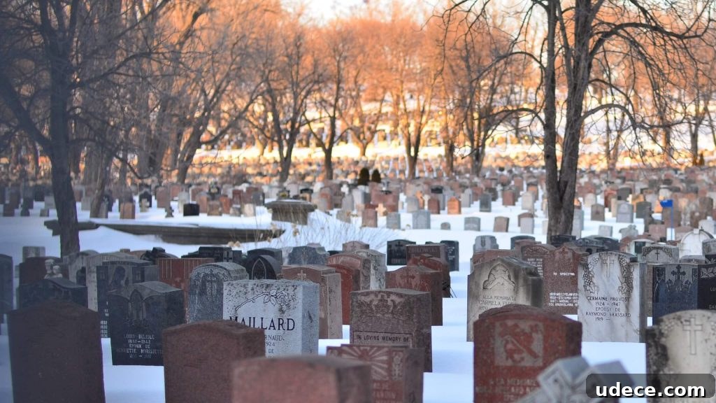 Top Genealogy Apps for Organizing Your Family Tree 5 Check out these free genealogy apps that will keep you organized as you search for your ancestors. Save time and be more efficient in your genealogy research.