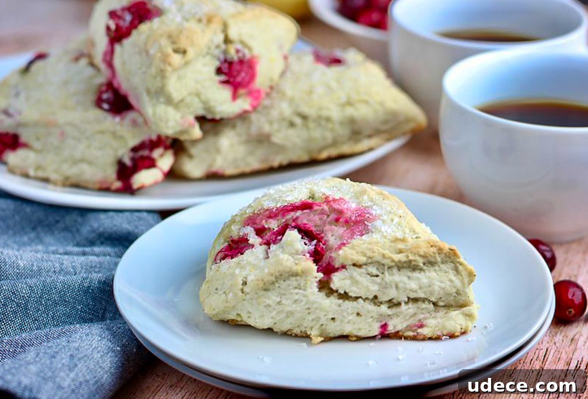 Cranberry Lemon Vegan Scones — Flaky Citrus Breakfast Treat 2 Vegan cranberry lemon scones on a plate