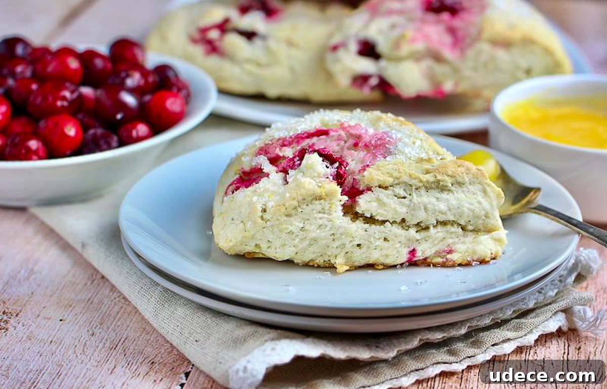 Cranberry Lemon Vegan Scones — Flaky Citrus Breakfast Treat 3 Ingredients for cranberry lemon scones