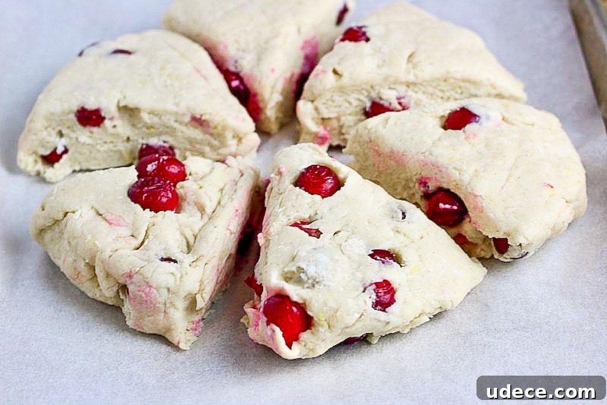 Cranberry Lemon Vegan Scones — Flaky Citrus Breakfast Treat 5 Baked cranberry lemon scones