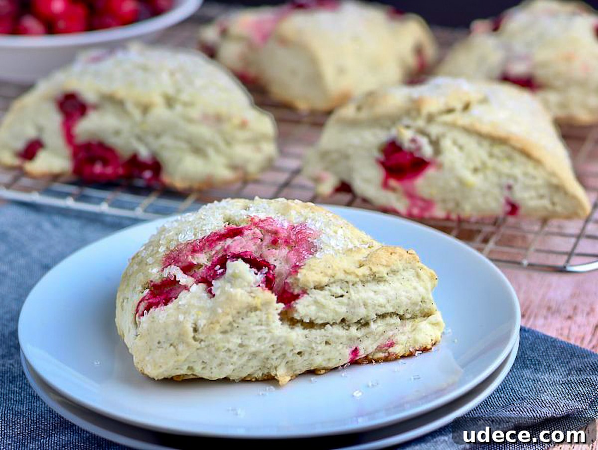 Cranberry Lemon Vegan Scones — Flaky Citrus Breakfast Treat 6 Scones cooling on a rack