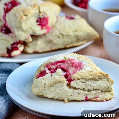 Cranberry Lemon Vegan Scones — Flaky Citrus Breakfast Treat 7 Vegan cranberry lemon scones close-up