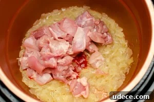 Authentic Pressure Cooker Chicken Biryani Recipe – Ready Fast 5 Chicken and chilli puree being added to the pressure cooker pot
