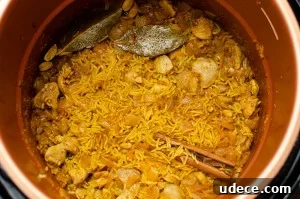 Authentic Pressure Cooker Chicken Biryani Recipe – Ready Fast 9 Biryani cooked and ready to be served from the pressure cooker pot