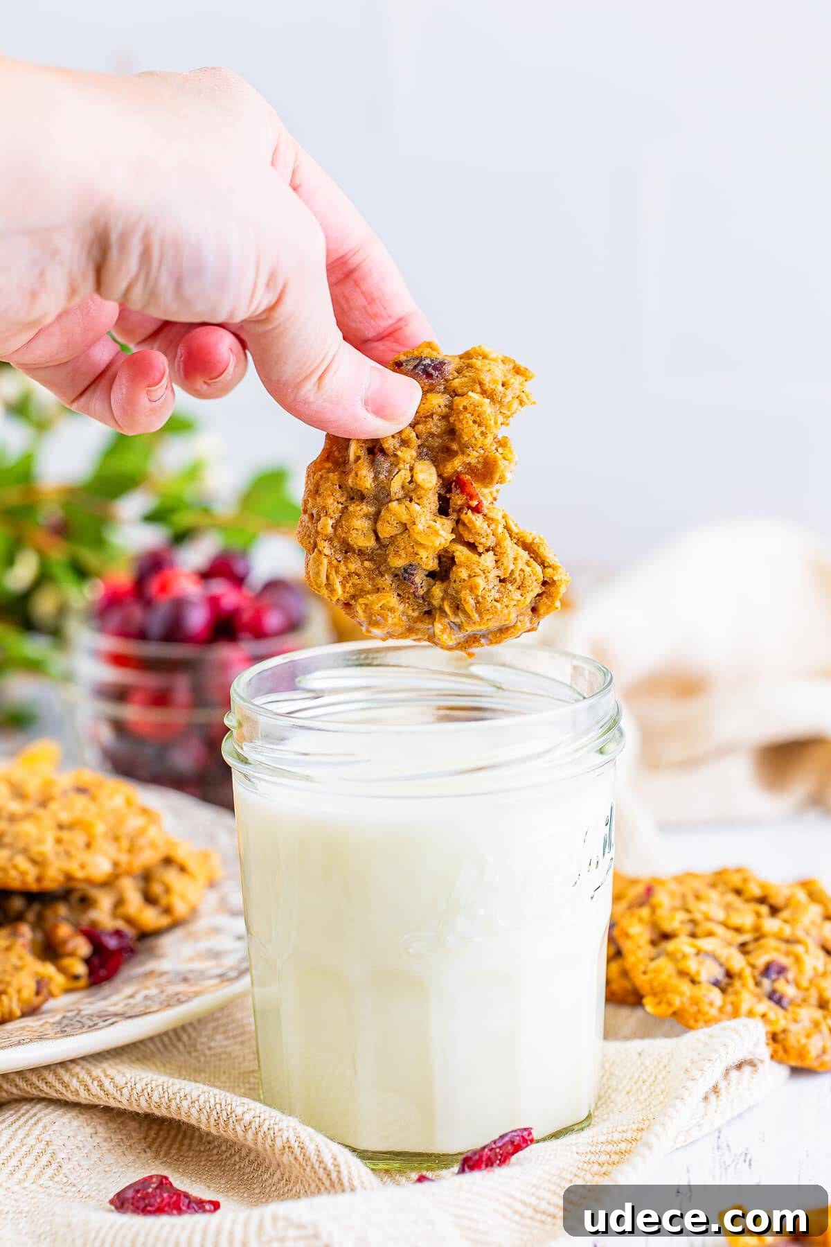 Chewy Cranberry Oatmeal Cookies with Walnuts — Soft, Tangy Bites 8 a hand dipping Cranberry Oatmeal Cookies in a glass of milk
