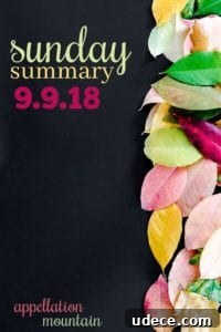 Sunday Summary: 9.9.18