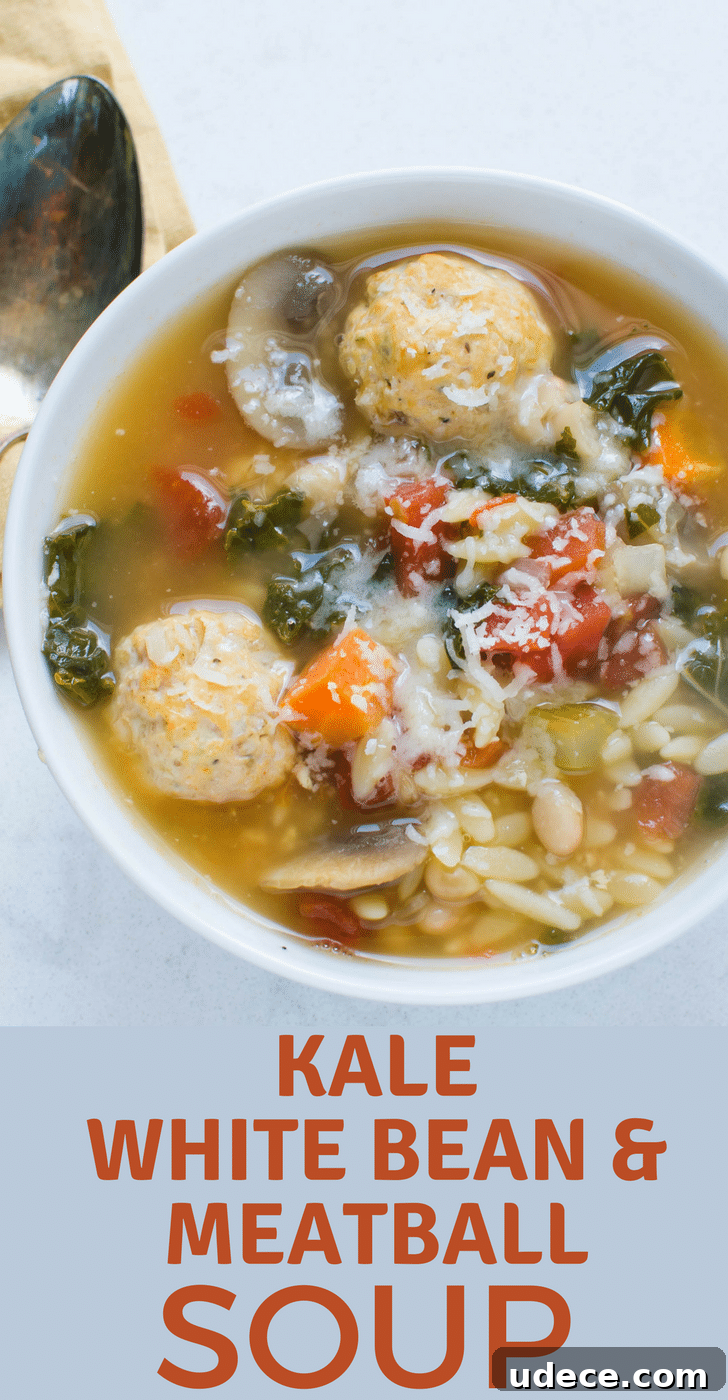 Need a healthy winter soup recipe? Kale, White Bean and Meatball Soup with orzo, mushrooms and tomatoes will fill you up!