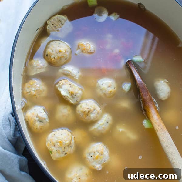 adding meatballs broth and tomatoes to pot.