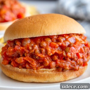 Vegan Lentil Sloppy Joes Recipe for Flavorful Plant-Based Sandwiches 11 lentil sloppy joes on a bun with another in the background