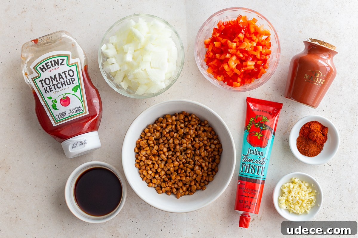 Vegan Lentil Sloppy Joes Recipe for Flavorful Plant-Based Sandwiches 4 ingredients needed to make vegetarian lentil sloppy joes including lentils, ketchup, tomato paste, onion, and bell pepper