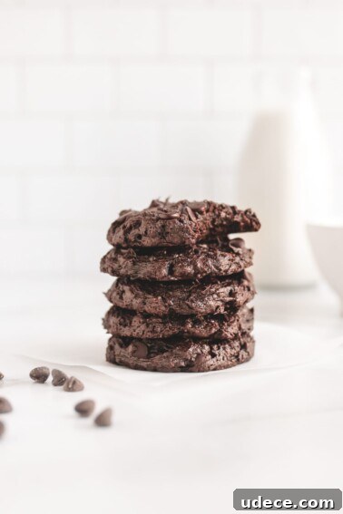 Flourless Chocolate Avocado Fudge Cookies Veggiekins