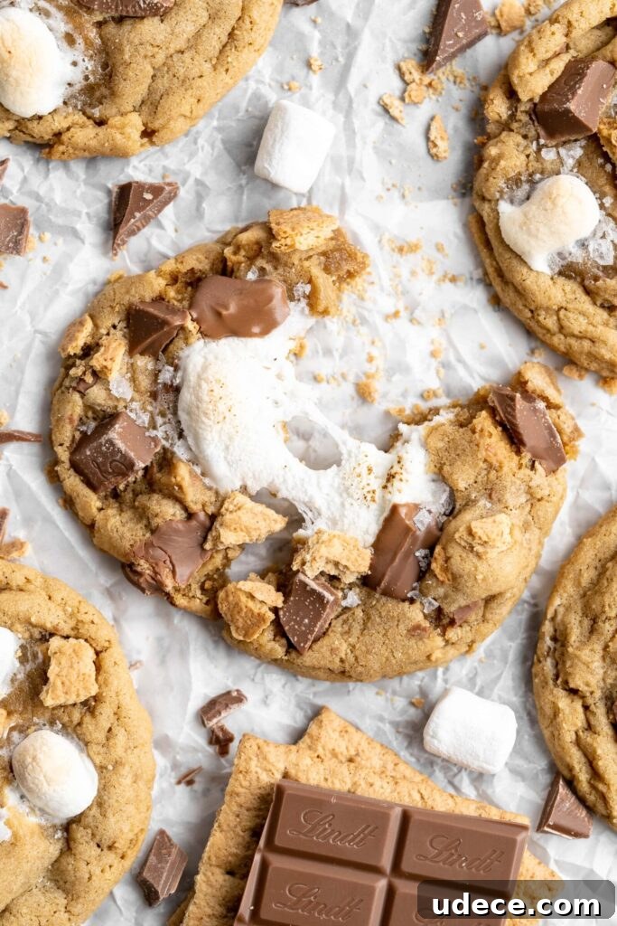 SunButter S'mores Cookies with Graham Crackers Recipe 4 chewy easy to make s'mores cookies made with milk chocolate chips, marshmallows and graham crackers