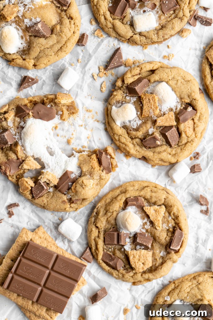 SunButter S'mores Cookies with Graham Crackers Recipe 7 chewy easy to make s'mores cookies made with milk chocolate chips, marshmallows and graham crackers