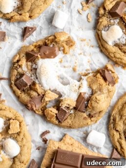 SunButter S'mores Cookies with Graham Crackers Recipe 8 chewy easy to make s'mores cookies made with milk chocolate chips, marshmallows and graham crackers