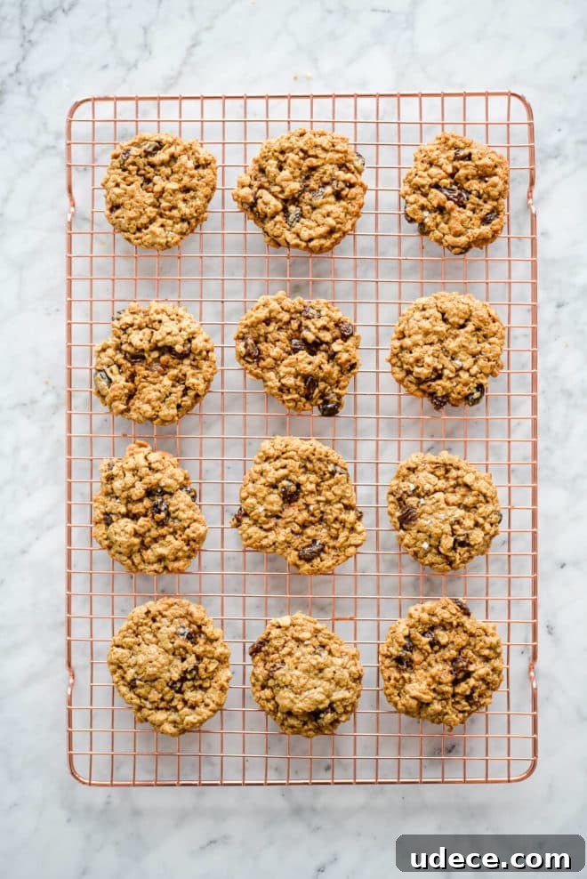 Chewy Oatmeal Raisin Cookies Recipe for Perfect Results 2 Oatmeal raisin cookies in four rows of three sitting on a copper cooling rack.