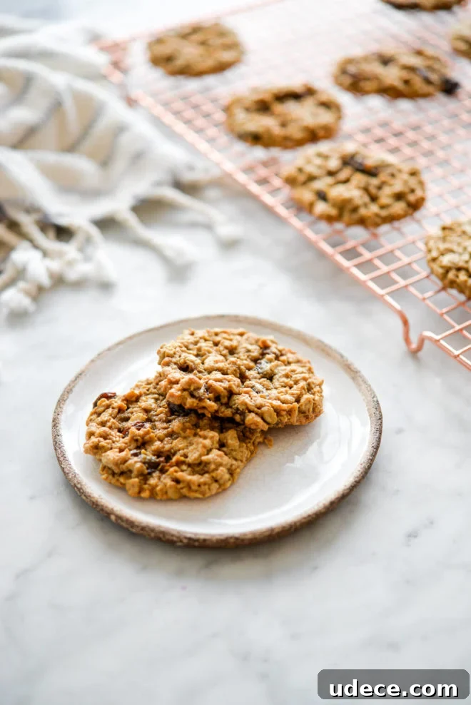 Chewy Oatmeal Raisin Cookies Recipe for Perfect Results 5 Two oatmeal raisin cookies sitting on a white plate with brown edge and copper cooling rack with cookies in the background.