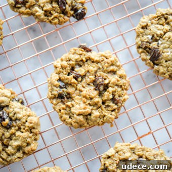Chewy Oatmeal Raisin Cookies Recipe for Perfect Results 6 Oatmeal raisin cookies in a row sitting on a copper cooling rack.