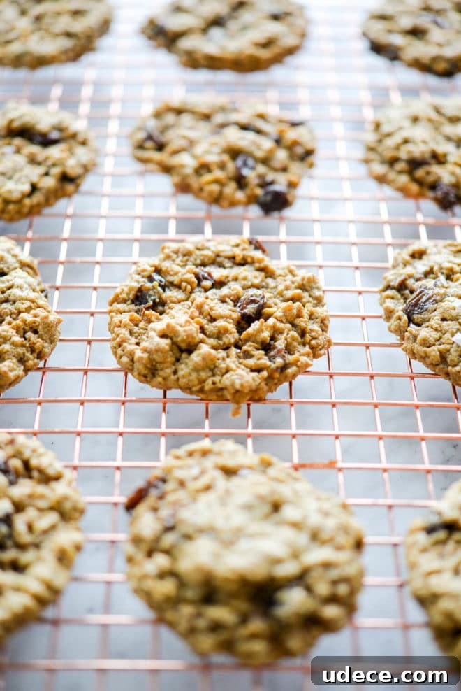 Chewy Oatmeal Raisin Cookies Recipe for Perfect Results 4 Oatmeal raisin cookies in a row sitting on a copper cooling rack.