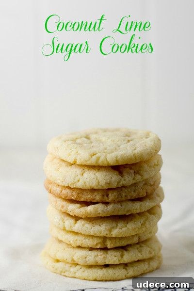 50 Zesty Citrus Desserts: Bright Recipes for Every Occasion 11 Coconut Lime Sugar Cookies
