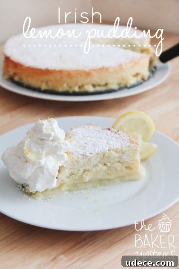 50 Zesty Citrus Desserts: Bright Recipes for Every Occasion 15 Irish Lemon Pudding