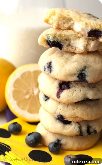 50 Zesty Citrus Desserts: Bright Recipes for Every Occasion 21 Lemon Blueberry Cheesecake Cookies