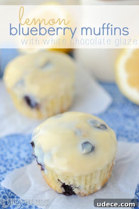 50 Zesty Citrus Desserts: Bright Recipes for Every Occasion 22 Lemon Blueberry Muffins with White Chocolate Glaze