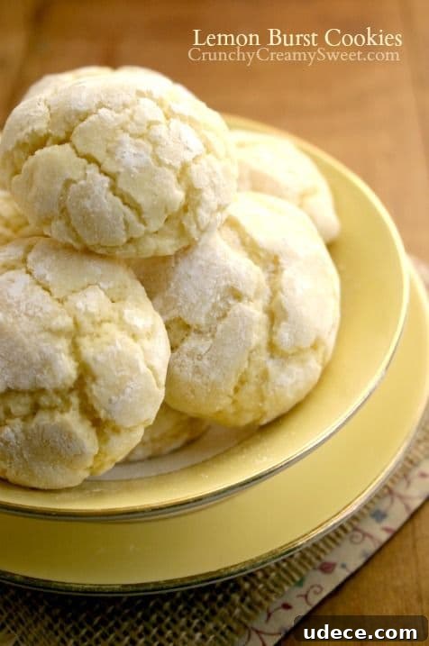 50 Zesty Citrus Desserts: Bright Recipes for Every Occasion 23 Lemon Burst Cookies