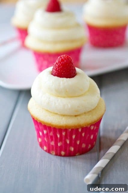 50 Zesty Citrus Desserts: Bright Recipes for Every Occasion 28 Lemon Cupcakes with Fresh Raspberry Curd Filling