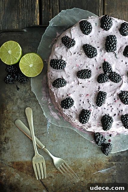 50 Zesty Citrus Desserts: Bright Recipes for Every Occasion 4 Blackberry Lime Cake