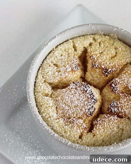 50 Zesty Citrus Desserts: Bright Recipes for Every Occasion 31 Lemon Souffle